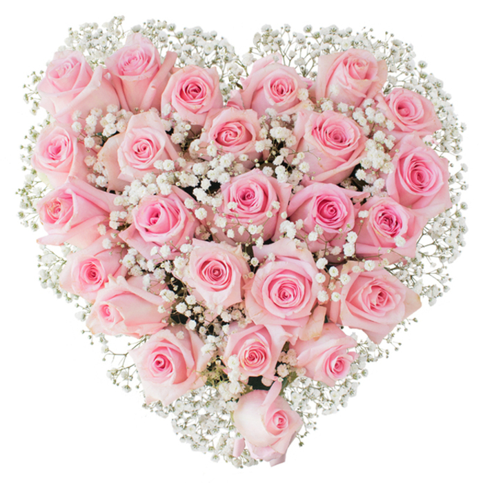 A lush, heart-shaped arrangement of soft pastel pink roses, arranged so closely together that the blooms form a continuous, velvety panel of colour and texture. Each rose shows a subtly different stage of bloom - from tight, blushing buds to gently unfurling flowers - creating a layered depth across the heart. The roses' petals carry a soft satin sheen, their edges catching the light while their inner spirals hold deeper, rosier tones. Nestled among them are countless tiny white gypsophila blossoms whose feathery clusters act like lace, scattering points of pure white throughout the composition and trimming the heart's silhouette against a spotless white background. The overall lighting is clean and luminous, emphasizing freshness and the precise, careful handiwork of the florist: every stem placed to maintain symmetry and fullness without feeling crowded. Speaking from experience in Garston, where simple, heartfelt gestures mean so much, this bouquet reads as a classic declaration of love - perfect for anniversaries, understated weddings, or as a gentle sympathy tribute. You can almost imagine the scent: a soft, floral whisper rather than a heady perfume, and the touch of the petals cool and satiny under the hand. This design balances romantic symbolism with restrained elegance, a timeless statement crafted to bring comfort, joy, and a sense of tender devotion to any recipient in the local area, whether delivered to a house on Church Road or collected from a nearby shop.
