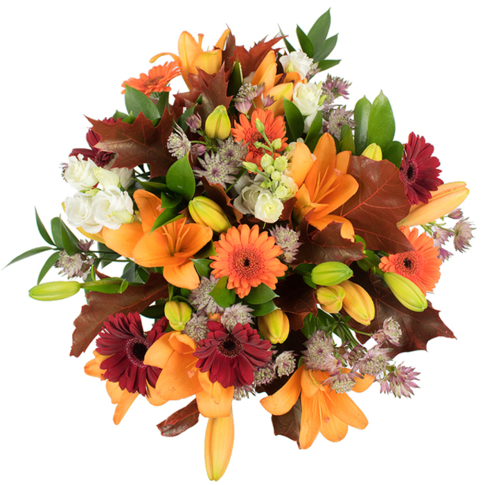 Captured in crisp, bright light on a white background, this autumnal bouquet is a study in texture and warm colour-a composition I would happily prepare at Flowers Garston for delivery across the village. Prominent orange Asiatic lilies, fully unfurled and satin-sheen under the studio lighting, form the focal centre, while numerous pale orange and bright green buds suggest the arrangement will continue to open and evolve in the days after delivery. Pumpkin and deep burgundy Gerbera daisies dot the design, their flat, face-like centers offering playful contrast and a rustic cheer. Soft, ivory Lisianthus blooms with layered, ruffled petals create pockets of gentle relief amid the richer tones, and delicate Astrantia in dusky mauve contributes a lacy, starry texture that threads through the bouquet. Large, reddish-brown, lobed leaves recall fallen oak or maple, artfully placed to give the piece a seasonal silhouette; fresh green foliage and slender stems weave throughout, balancing warmth with verdant lift. The densely packed arrangement is both structured and abundant, smelling faintly of late-season blossoms with an earthy undertone that evokes local hedgerows and the crisp air around Garston Park. Designed to sit as a Thanksgiving centrepiece, a warm birthday gift, or a welcoming accent for a mantel or front hall, it reads as a carefully considered seasonal offering-bright, fresh, and full-bodied, created by a florist who understands local tastes and the gentle, celebratory mood of autumn.