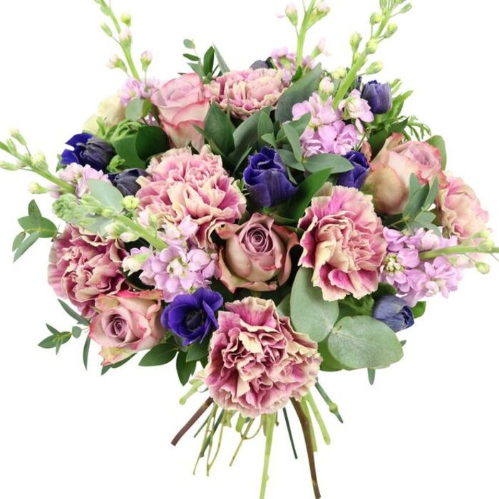 Set against a crisp white background, a hand-tied bouquet bursts with a carefully balanced mix of colour and texture, crafted with the quiet elegance you might expect from a trusted Garston florist. At the core, lush garden roses in shades of dusty blush and muted mauve open wide, their many-petalled centres forming a soft, romantic focal point that calls to mind classic wedding blooms and relaxed summer gatherings near Garston's local green spaces. Encircling these roses, frilled carnations add generous volume; their petals shift from warm cream at the base to blush pink and deeper rose tones at the edges, each ruffle catching the light and creating gentle shadows. Threaded throughout are vivid accents of royal blue and indigo, including a standout anemone with a near-black centre that anchors the composition, alongside closed, tulip-like buds in similar tones that promise future blooms. Slender stems of pale lilac and lavender stock pierce upwards, each stalk crowded with small blossoms that lend an airy, vertical structure and suggest a soft, powdery scent. The flowers nestle among a mix of foliage: rounded, silvery eucalyptus leaves arch outward with a cool, misty hue, while darker, glossy leaves provide depth and frame the more delicate elements. The exposed stems are neatly aligned and bound, showing this as a fresh, hand-crafted bouquet rather than a mass-produced arrangement. The overall palette of romantic pinks, serene purples, dramatic blues, and fresh greens gives the design a graceful, thoughtful feel, perfect for anniversaries, special birthdays, or to bring a little refined beauty into a Garston home on an ordinary day.