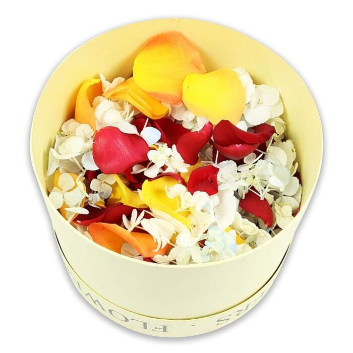 This photograph shows a simple yet luxurious cream-coloured hatbox, round and perfectly cylindrical, brimming with an opulent blend of dried flower petals and tiny florets. The box itself is a light, buttery cream with a smooth, matte finish, and along the upper rim a delicate, debossed script spells FLOWERS, just visible when the light catches it, giving a subtle nod to traditional florist hatboxes. From a slightly elevated viewpoint, the camera looks down into the container, revealing a densely packed, softly mounded layer of petals. Velvety rose petals in deep wine-red anchor the arrangement, their folded edges and layered curves providing a sense of depth. Interwoven among them are bright yellow petals that suggest sunshine, alongside mellow, peach-orange tones, evoking the comfort of a late summer garden. Scattered generously over and between these larger petals are countless tiny white florets, likely dried hydrangea, some tinged with the faintest whisper of pastel blue. These petite blossoms create a cloud-like texture that contrasts beautifully with the smooth rose petals and gives the whole display a light, airy appearance. The pure white background isolates the piece, much like it would stand out on a memory table at a Garston farewell service, making it easy to imagine these petals being used as natural, biodegradable confetti at a graveside or as a delicate tribute at a crematorium chapel. The overall mood is calm and reverent, the colours warm but not overpowering, ideal for expressing love and remembrance in a gentle, nature-inspired way.