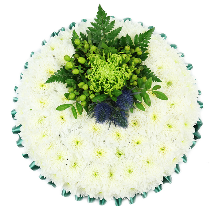 This image presents a meticulously crafted circular funeral cushion, photographed from directly overhead so that every detail of the design can be clearly appreciated. The main body of the tribute is formed from a dense bed of pure white chrysanthemums, most likely small spray varieties, their tightly layered petals overlapping to create a smooth, plush surface. There is a soft, almost quilted appearance to the flowers, as though the cushion were made of petals rather than fabric, symbolising comfort and the gentle nature of remembrance. Each bloom reveals a faint greenish-yellow eye at its centre, lending depth and a barely-there touch of colour. Around the outer edge, a wide band of emerald green satin ribbon has been carefully folded into regular pleats, producing a scalloped border that neatly frames the white flowers and adds a refined, ceremonial feel. Just above the centre of the cushion sits a striking focal cluster of fresh greenery and accent blooms. A vivid lime-green spider chrysanthemum, with its long, curling petals, stands proudly amid glossy apple-green Hypericum berries and deep green foliage, including light, feathery fern fronds. Nestled in this foliage are two blue-violet Scottish thistles, their round, spiky forms and dusky hues offering a distinctive contrast to the soft white cushion. The floral tribute conveys serenity, dignity, and a subtle nod to Scottish heritage, making it especially meaningful for families in Garston who wish to reflect a loved one's roots. It is easy to imagine this arrangement being delivered for a quiet service near the waterfront or a memorial at a local church, its cool white and green tones bringing a sense of composed grace.