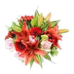 Bathed in clear, even light against a white backdrop, this abundant bouquet reads like an artist's celebration of warm-season colour and texture. A cluster of large orange-red Asiatic lilies anchors the centre, their speckled throats and open faces creating a dramatic, almost cinematic focal point while nearby buds hint at more life to come. Around them, saturated red Gerbera daisies fan out with bold petal lines and dark centers that add a graphic, joyful note, and soft, pale pink roses provide an intimate counterpoint-petals layered like whispered promises. Scattered throughout, glossy red hypericum berries give bright, jewel-like accents and playful bumps of contrast that make the eye move across the design. The greenery is generous and varied: broad green leaves form a dense, supportive backdrop, while variegated and narrower leaves introduce lightness and subtle patterning, producing a rounded, cohesive silhouette. The sensory impression is rich-smooth rose petals, the papery texture of lilies, the cool gloss of berries, and the crisp snap of fresh foliage; nearly audible is a soft rustle when the stems are shifted. The arrangement feels both festive and composed, fitting for celebrations from milestone birthdays to intimate anniversary dinners in Garston or as a striking welcome on a London doorstep. Whether photographed on a clean white studio surface or placed beside a kitchen window on Garston's local high street, its warmth and hand-crafted balance speak of careful floral workmanship and fresh, garden-fresh ingredients.