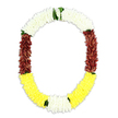 An elegant, open oval garland is pictured as if suspended against a flawless white background, its colours unfolding in a tranquil, ceremonial sequence. Along the upper arc, flawless white flowers are threaded tightly together, resembling clusters of petite chrysanthemums or jasmine buds, their cloud-like texture evoking serenity, purity, and the hush of a prayerful moment. This softness gradually gives way down each side to panels of deep maroon petals, densely packed into plush, almost velour-like sections that bring a sense of gravity and respect to the design, much like a formal bow at the close of a life well lived. At the base, the garland brightens into a sweep of glowing yellow blooms, the sunny hue adding quiet warmth and the suggestion of continued light beyond farewell. Slim touches of fresh green foliage are set at key points where white meets maroon and maroon melts into yellow, creating natural pauses that keep the garland visually balanced and alive. Every centimetre seems thoughtfully filled, with no gaps, as though each blossom has been purposefully placed to honour a specific memory or blessing. This style of mala, common in South Asian and Southeast Asian traditions, lends itself beautifully to funeral tributes and remembrance ceremonies around Garston. It is easy to picture this garland delivered tenderly from a nearby florist, then laid over a casket or framed around a photograph at a local chapel, its gentle colours and textures offering comfort to families as they gather to say their goodbyes.