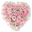 A dense, heart-shaped cascade of soft pink roses fills the frame, each bloom pressed close to its neighbour to create a plush, velvety surface that reads like a single, living heart. The roses range from the palest blush to a slightly deeper rosy pink at their centers; some are tightly furled buds while others have gently opened to reveal their spiralling petals, giving the composition a quiet sense of motion and breath. Scattered through and around the roses are clouds of delicate white gypsophila - baby's breath - its tiny, star-like flowers catching the light and lending an ethereal, lace-like texture that lifts the weight of the roses and defines the heart silhouette against a clean, pure white background. Bright, even lighting accentuates the satiny sheen of the petals and the fine, feathery stems, while the overall palette of pastel pink and crisp white evokes tenderness, gentle romance, and serene devotion. As a florist describing this piece in Garston, I imagine carrying it past the village green and Church Road, the scent faint but unmistakable, a soft perfume that suggests quiet afternoons and heartfelt letters. The meticulous placement of each rose and spray of gypsophila shows careful craftsmanship - a sympathetic balance of density and air - making this ideal for anniversary surprises, a refined Valentine's gesture, or a calm tribute at an intimate wedding. The visual is at once luxurious and modest: classic floral symbolism of enduring love expressed through humble, perfectly tended blooms under soft studio light.