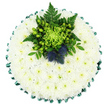 A round sympathy cushion is shown from a bird's-eye view, its circular outline sharply defined against a plain white backdrop. The entire surface of the tribute is covered with small white chrysanthemum heads, positioned so closely together that no gaps are visible, giving a soft, continuous cushion of petals. The blossoms are fresh and pristine, their fine, radiating petals overlapping like feathers, while tiny touches of pale green at each flower's centre lend a delicate inner glow. This cool white expanse is bordered by a pleated trim of emerald green satin ribbon, the neat folds forming a scalloped edge that frames the floral work with a sense of precision and care. Slightly above the centre, a carefully constructed cluster of greenery and accent blooms creates a focal point. A vivid lime-green spider chrysanthemum, spidery petals splaying in all directions, is surrounded by glossy green Hypericum berries and rich foliage, including airy fern fronds and shaped leaves that spill gently over the cushion. Two blue-purple Scottish thistles are nestled within this foliage, their spiky, globe-like heads offering striking contrast in both colour and texture, and quietly suggesting Scottish connections or personal symbolism. The overall design feels cool, composed, and respectfully understated, ideal for a funeral or memorial tribute. Crafted by skilled local florists who serve families throughout Garston and the surrounding streets, this cushion would be fitting for a service in a small chapel or a crematorium farewell, offering a peaceful, dignified expression of sympathy when words alone are not enough.